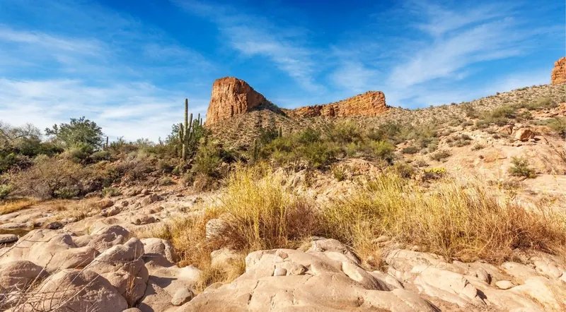A dry desert wash with rock formations near the Apache Trail